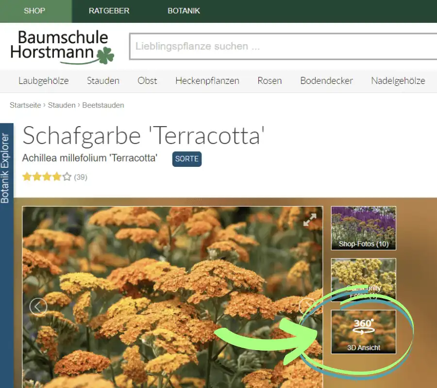 360 Grad Ansicht - So geht's!