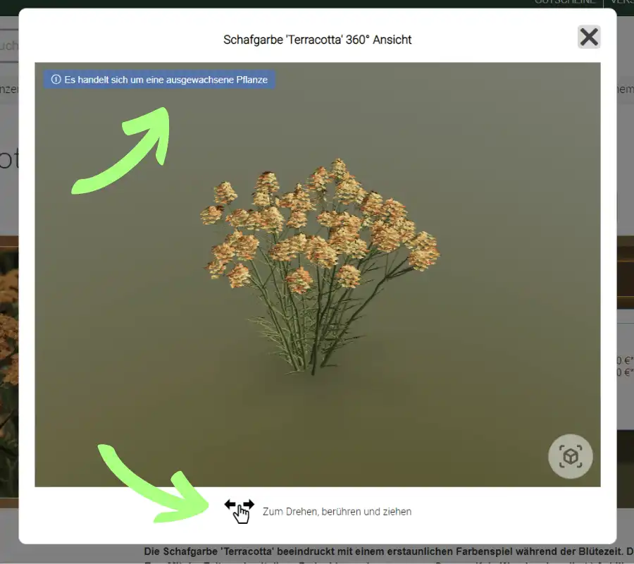 Die 3D-Ansicht der Pflanze wird Dir jetzt angezeigt
