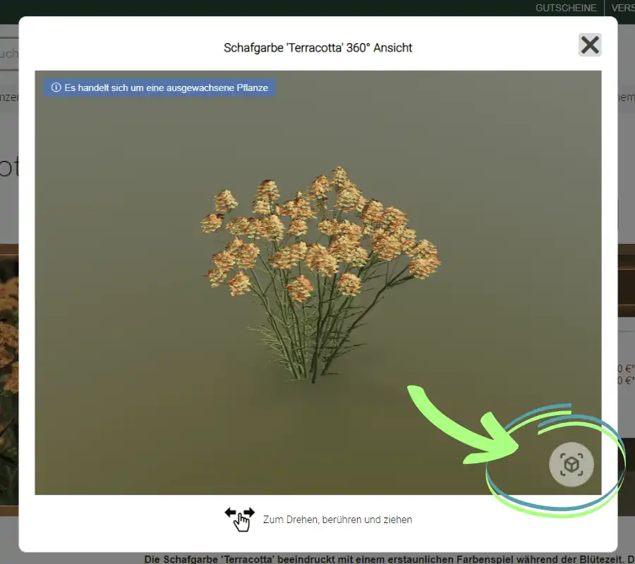 Exklusive 3D-Live-Ansicht im Garten!