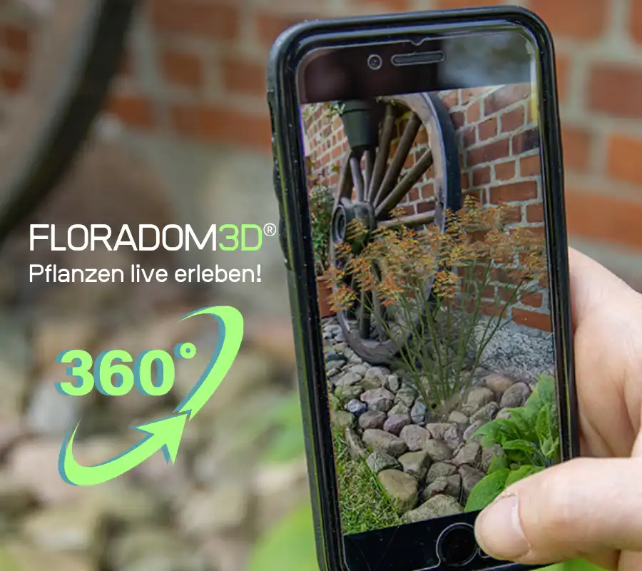 Die 3D-Live-Ansicht öffnet sich